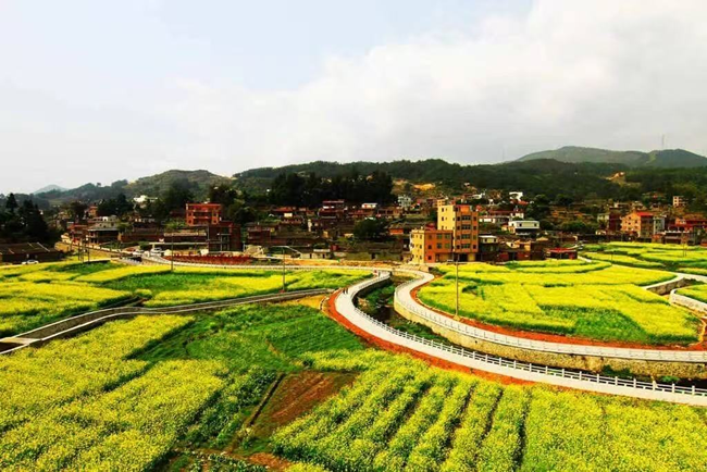 虹山油菜花田。洛江区自然资源局供图