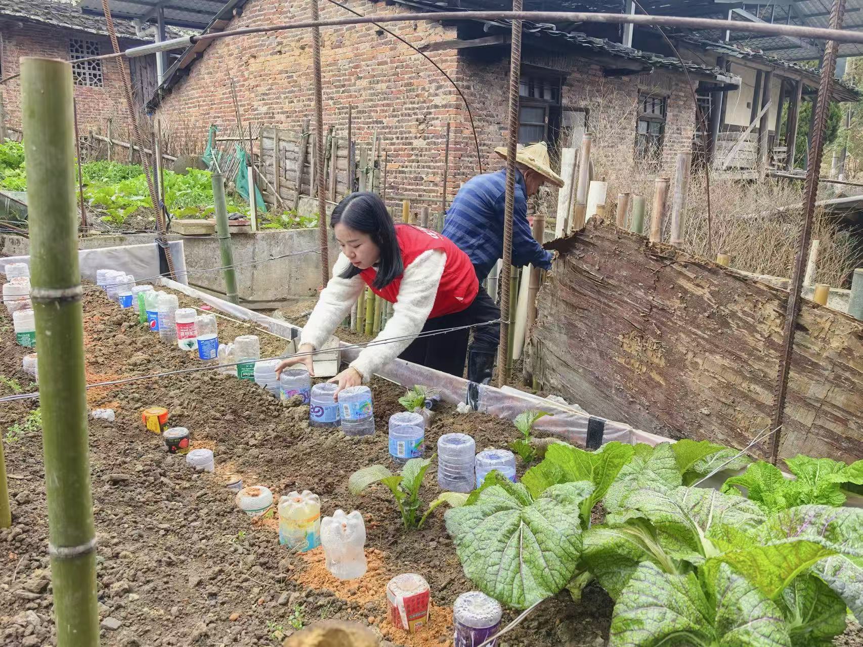 平安志願者合理利用簡易育苗缽，幫助農戶變廢為寶。