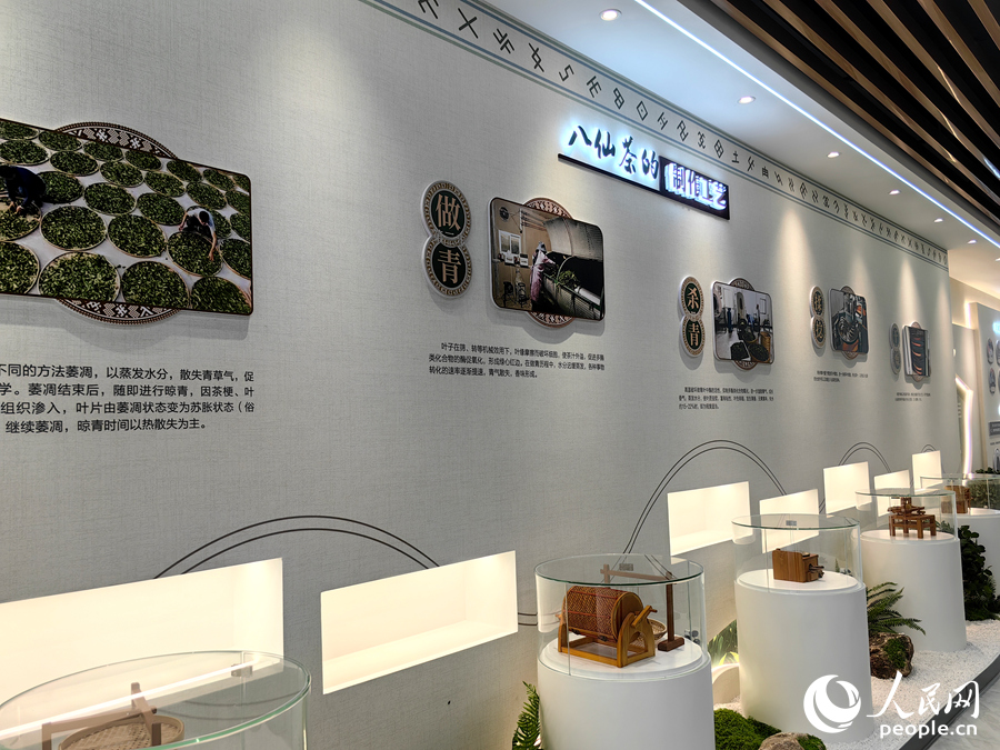 新落成的詔安八仙茶博物苑內景。人民網 蘇海森攝
