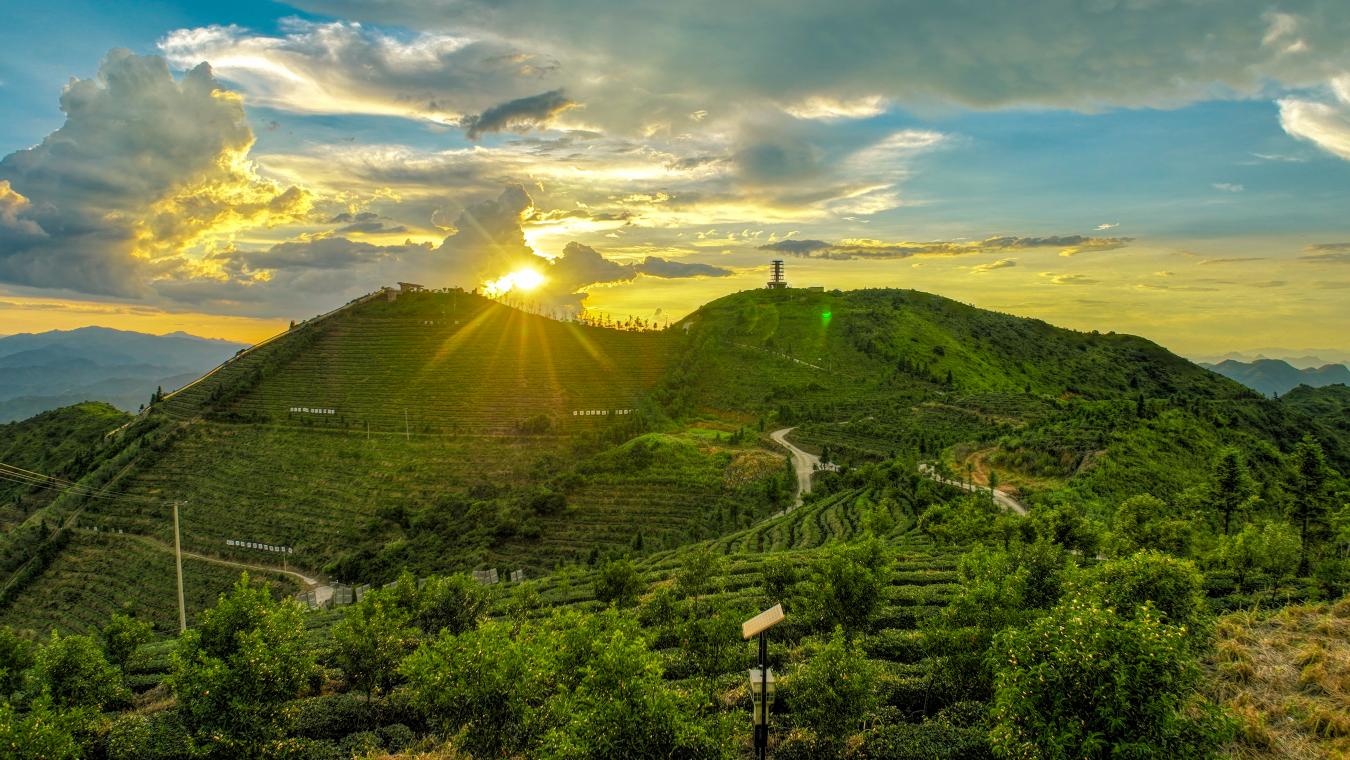 尚卿鎮黃嶺村國心綠谷茶庄園