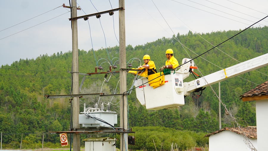 國網邵武市供電公司工作人員正在10千伏大埠崗線童家地支線開展帶電作業