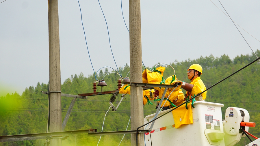 國網邵武市供電公司工作人員正在10千伏大埠崗線童家地支線開展帶電作業