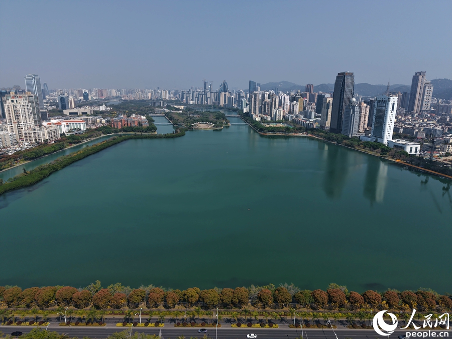 美麗蝶變后的筼筜湖，成為“廈門會客廳”。人民網記者 陳博攝