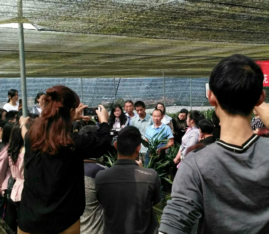 南靖縣林業局黨員干部組織南靖蘭花協會技術骨干深入蘭園，向蘭農傳授養蘭技術。南靖縣融媒體中心供圖