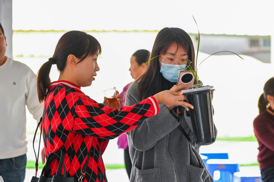 消費者通過手機掃描南靖蘭花的量子加密溯源碼。鄭藝琴攝