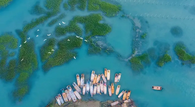 霞浦縣鹽田鄉鵝灣村。章溯攝