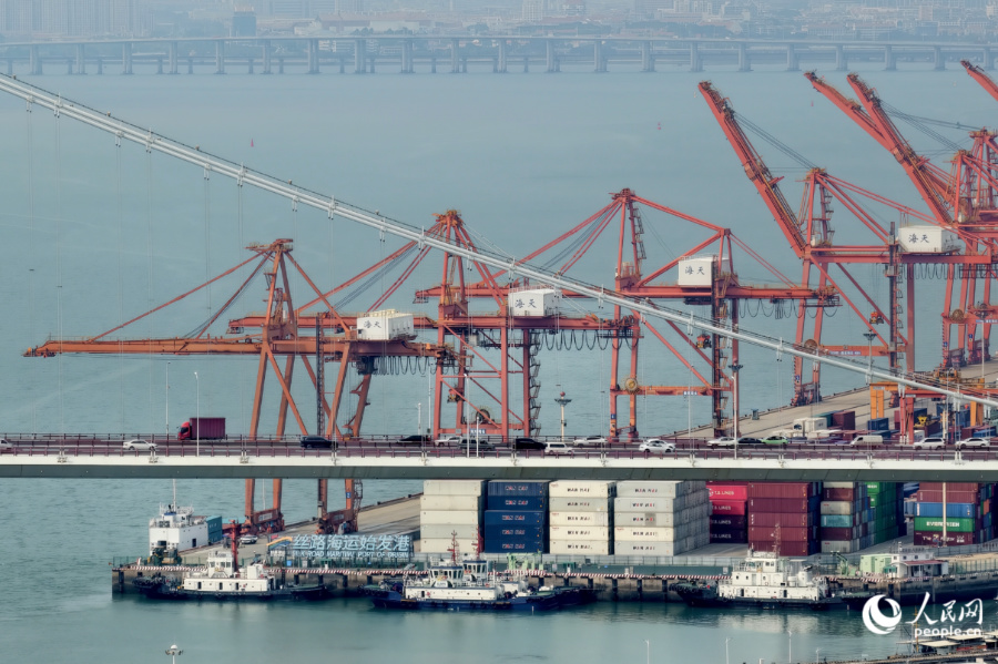 繁忙的廈門港。人民網記者 陳博攝