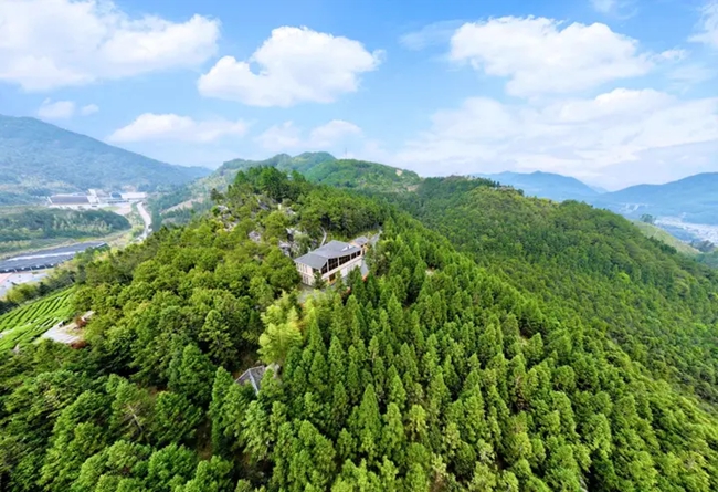 周寧縣“三庫”生態文明學習實踐基地，生態實踐與自然之美共生共融，繪就綠色發展新圖景。陳義冰攝