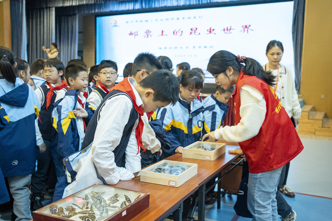 杨琳正在为小学生作昆虫科普