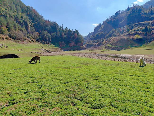 九岭溪沿岸风景如画