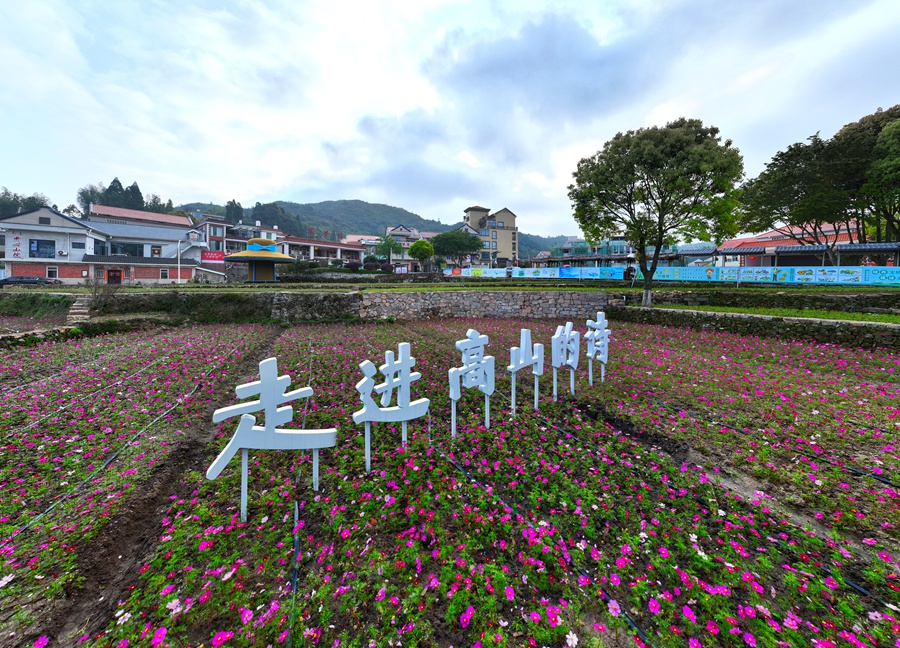 军营村美丽花园。夏海滨摄