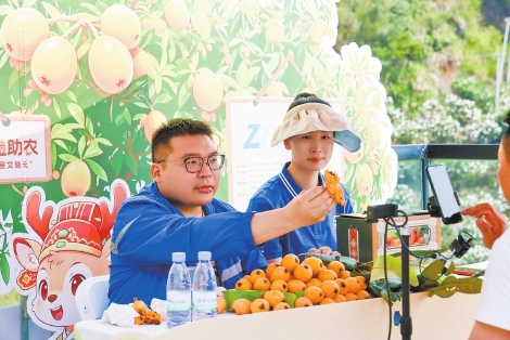 快递员在直播间热情地向粉丝推荐一都枇杷。（受访者供图）