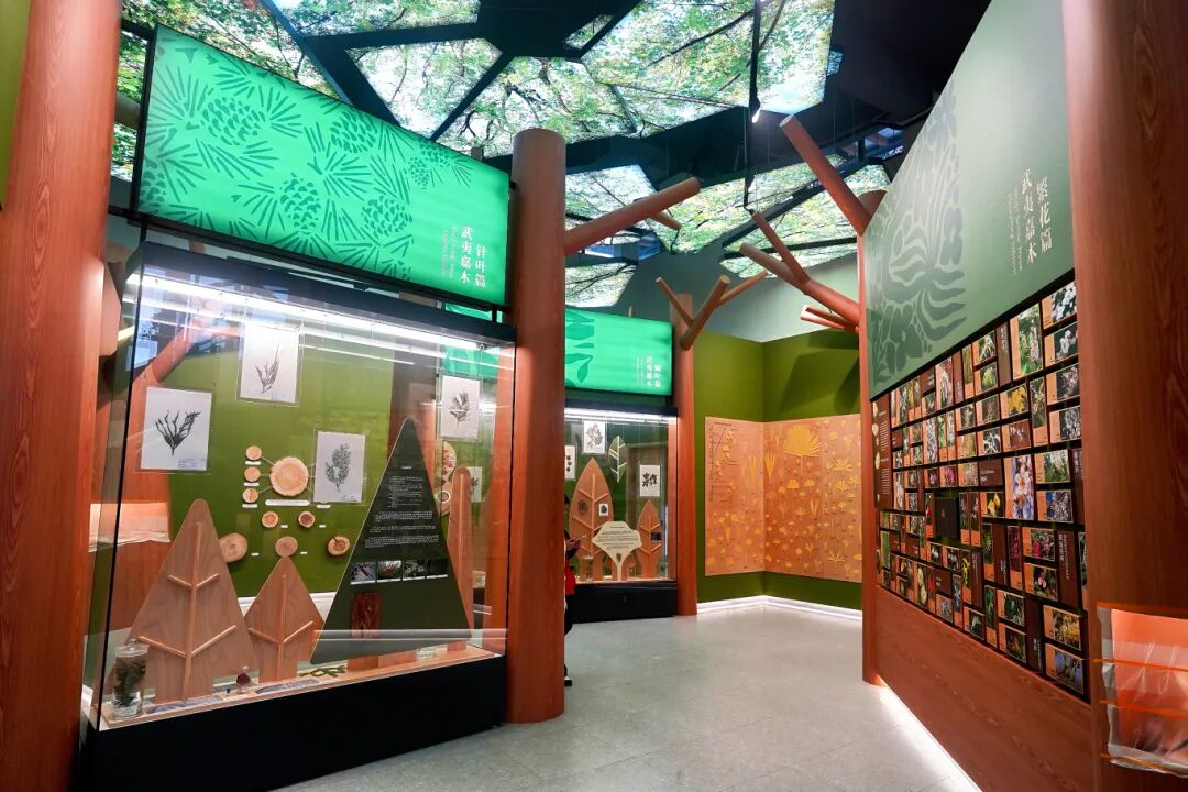 武夷山珍稀植物科普展示馆