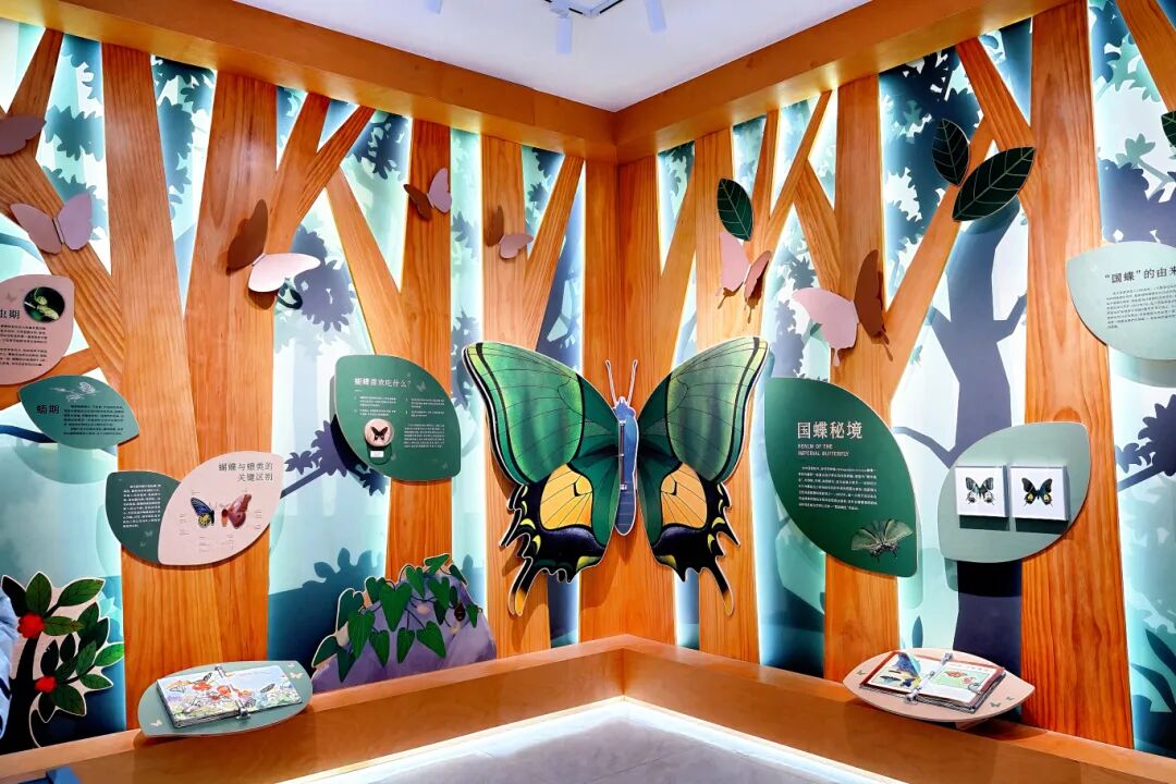 蝴蝶科普展示馆