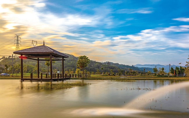 古县湿地公园现状