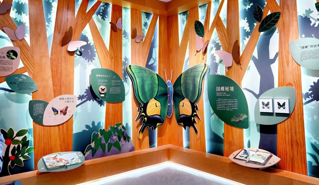 武夷山国家公园1号风景道8大科普展馆即将试运营