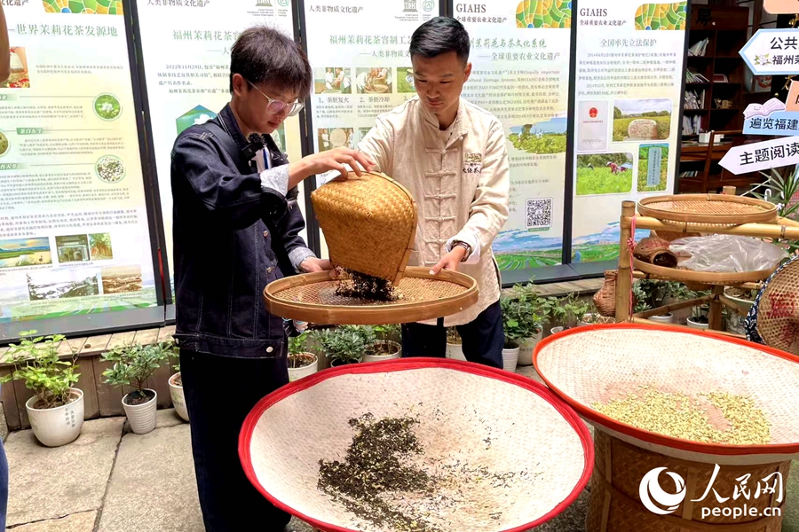 越南旅游达人邓文海（左）体验茉莉花茶制作。人民网记者 林盈摄