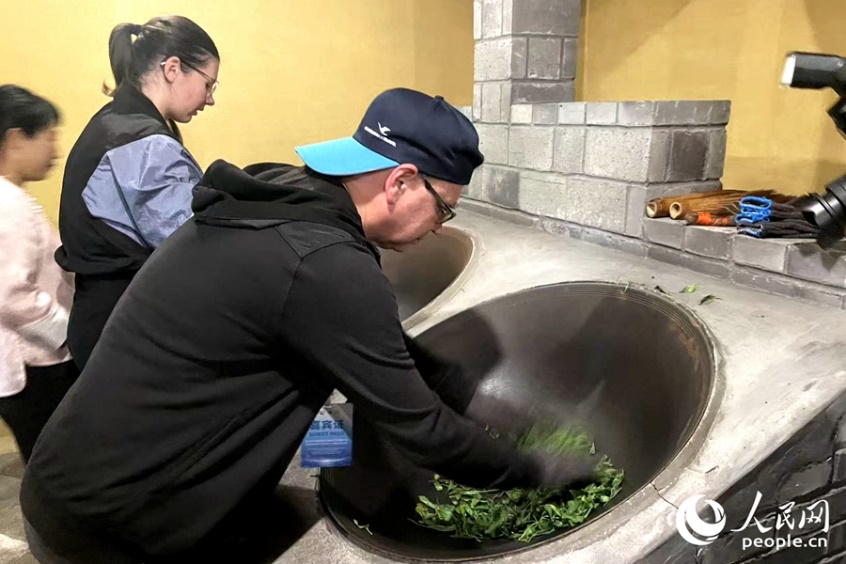 武夷山制茶体验成“高人气”项目。人民网记者 林盈摄