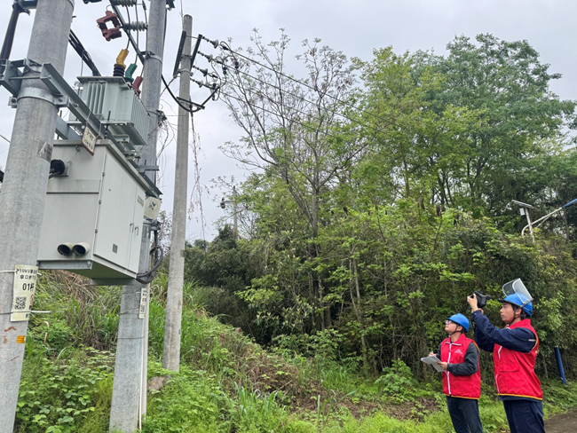 日前，国网邵武市供电公司工作人员在10千伏拿企线开展春检工作。吴诗羽摄