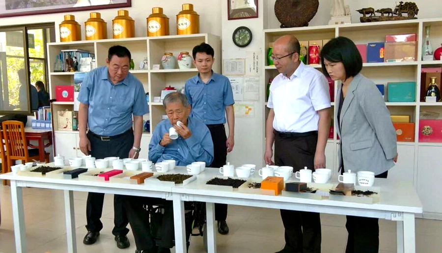 李瑞河在品鉴八仙茶、单丛茶等诏安县代表性茶样。诏安县委宣传部供图