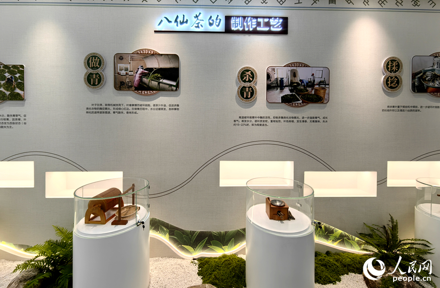 新落成的诏安八仙茶博物苑内景。人民网 苏海森摄