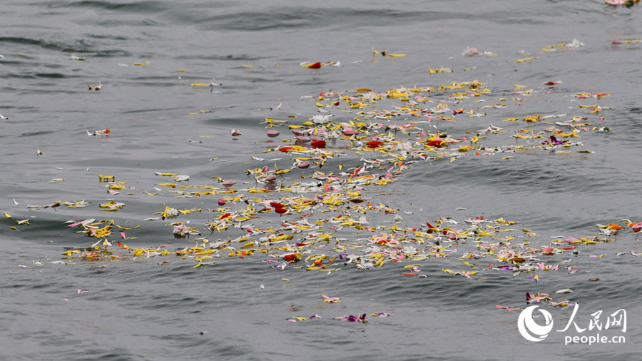 160名逝者的骨灰伴着花瓣与思念融入片片海浪之中。人民网记者 陈博摄