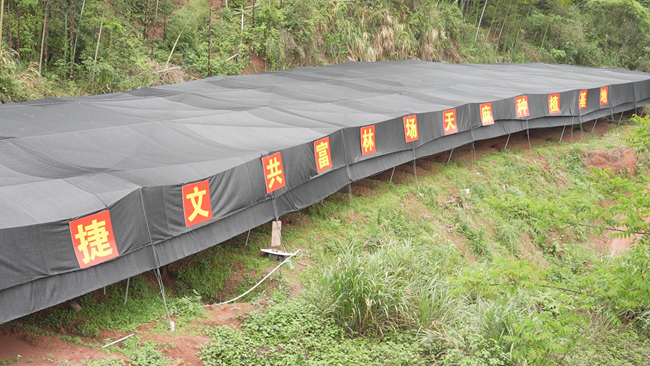 武平县捷文共富林场天麻种植基地