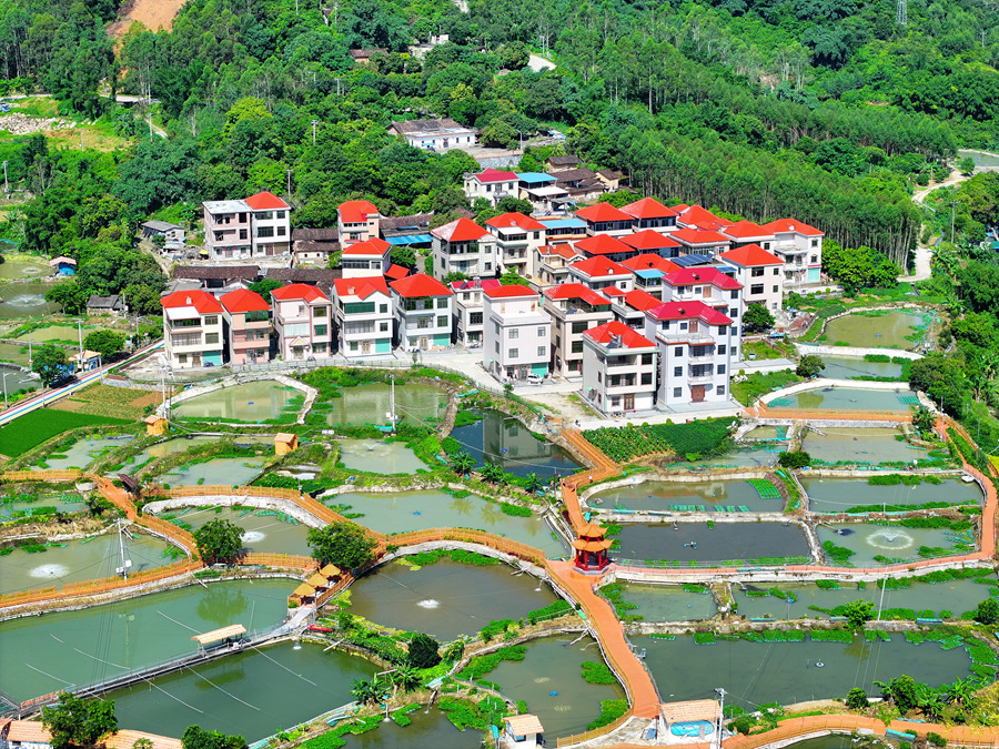 位于长泰区的一处光鱼养殖基地。长泰区融媒体中心供图