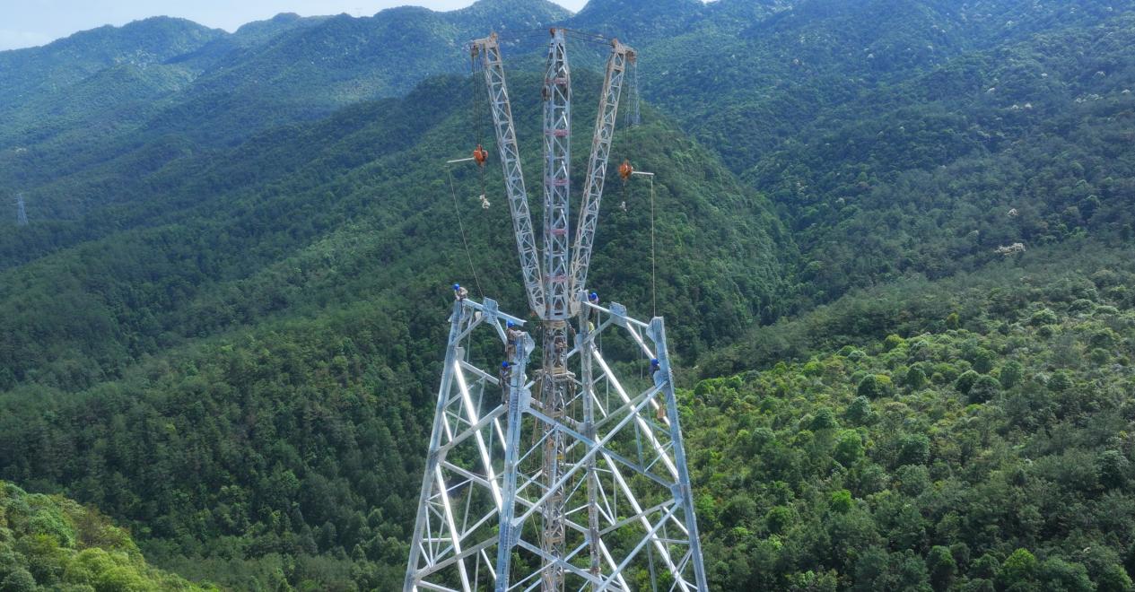 福建省送變電工程有限公司施工人員採用落地雙搖臂抱杆施工工藝精准吊運塔材，高效組立塔身。