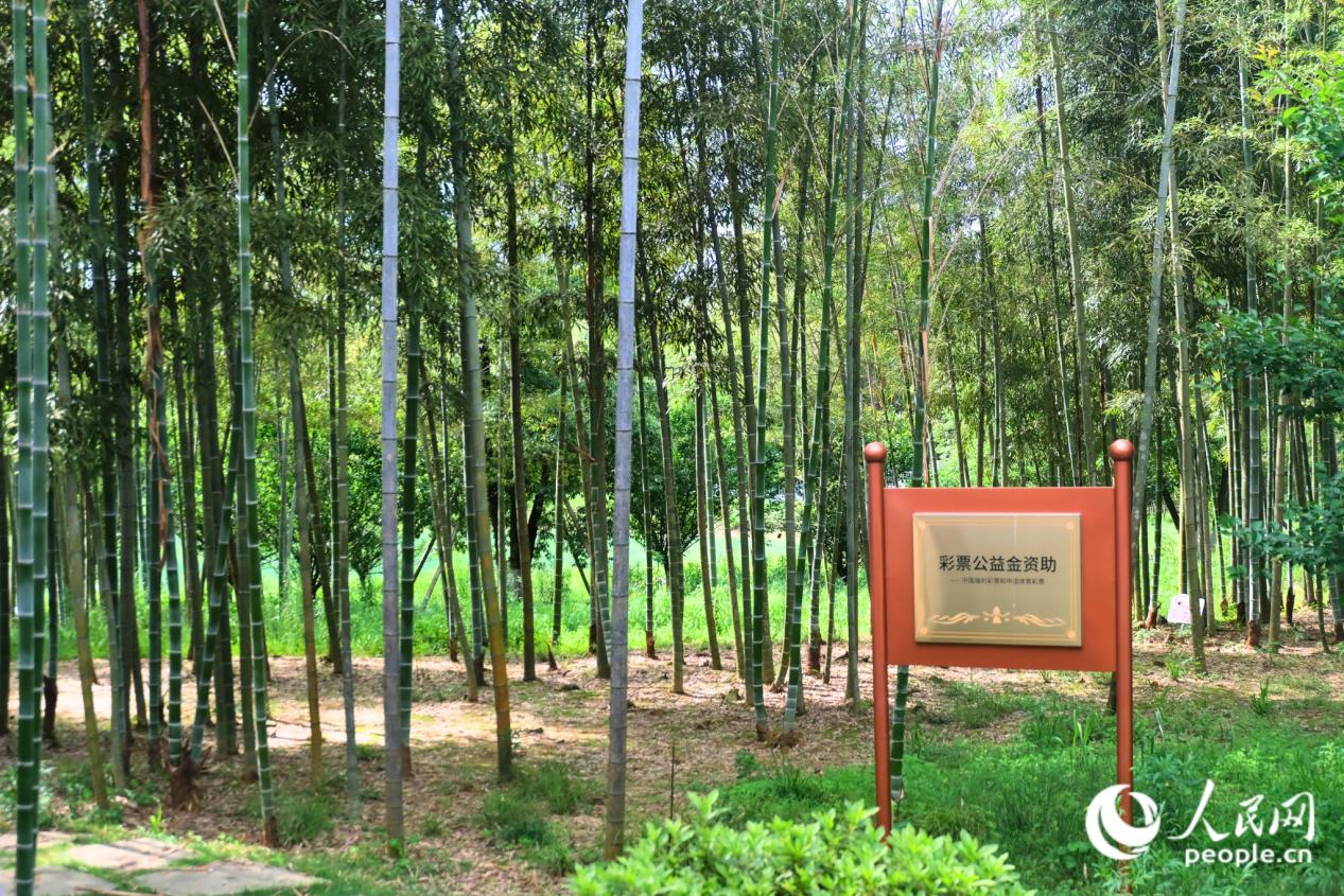 體彩公益金資助了寒泉精舍的修復工程。人民網 歐陽奕奕攝