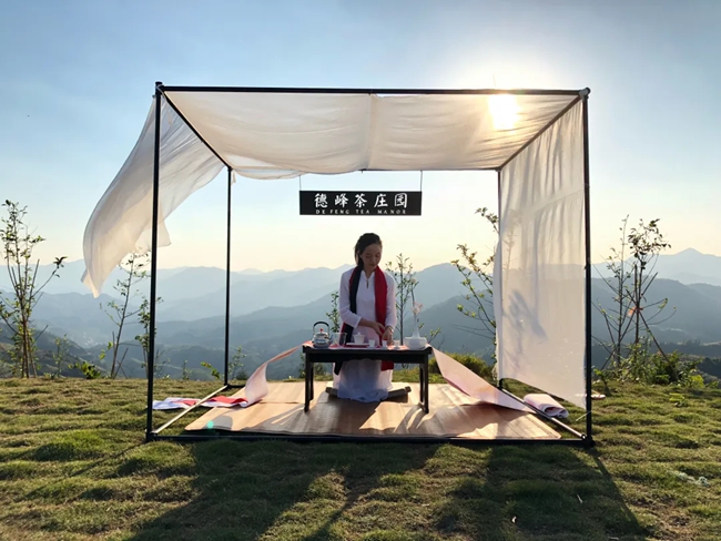 德峰茶庄園。安溪縣融媒體中心供圖