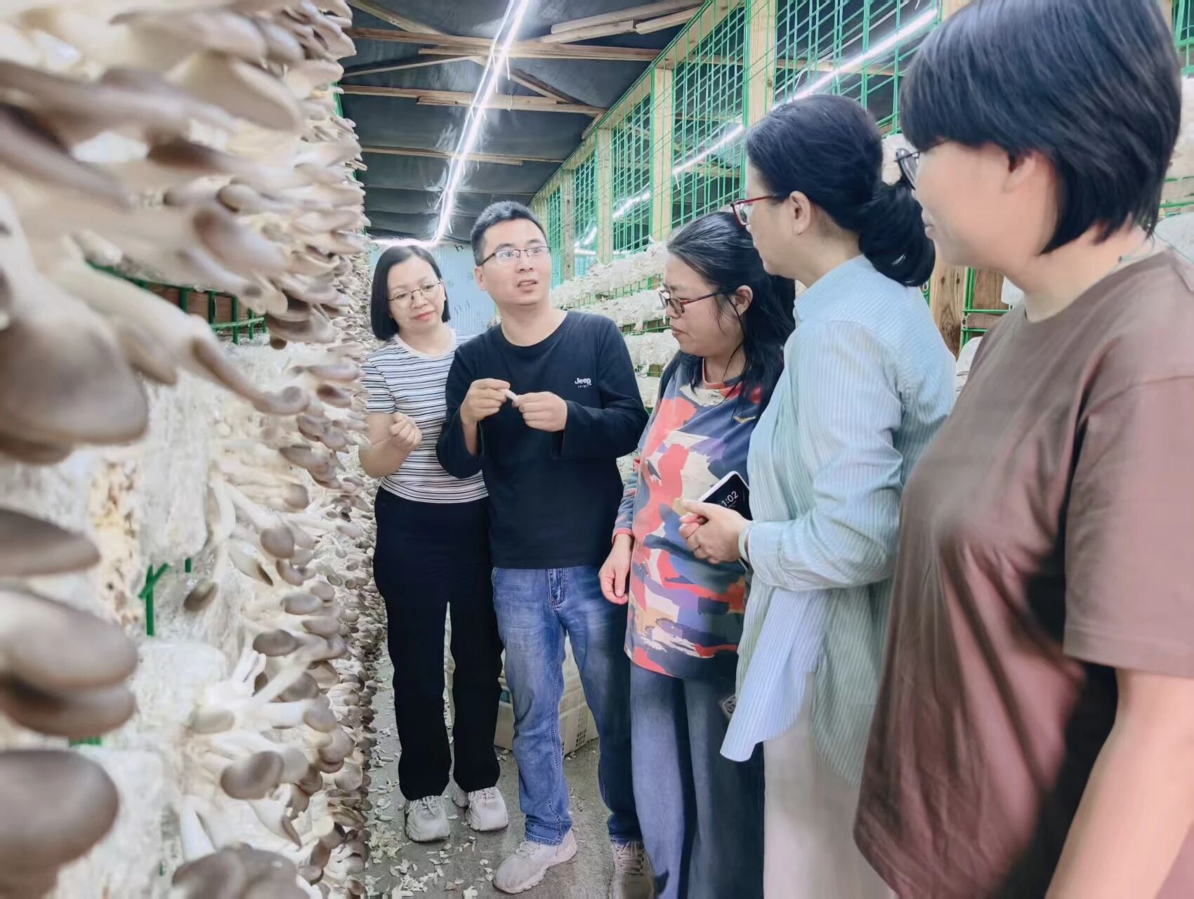 實地觀摩秸稈栽培秀珍菇創新技術成果