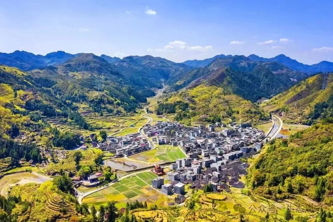 李墩鎮際會村。葉先設攝