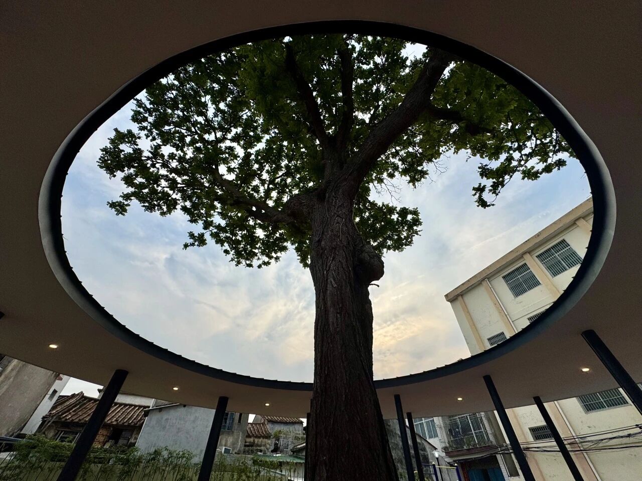 把老百姓需要的绿色空间一点一点做起来