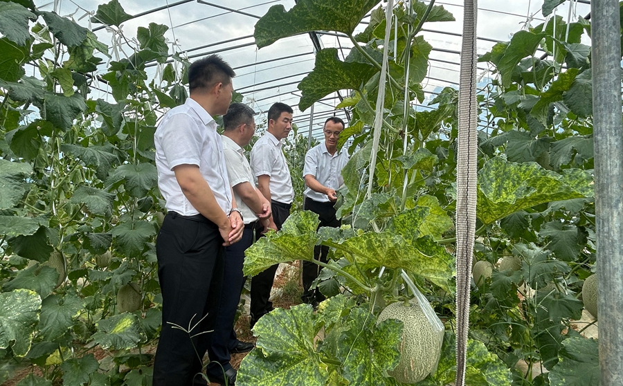 乡村振兴主题学习