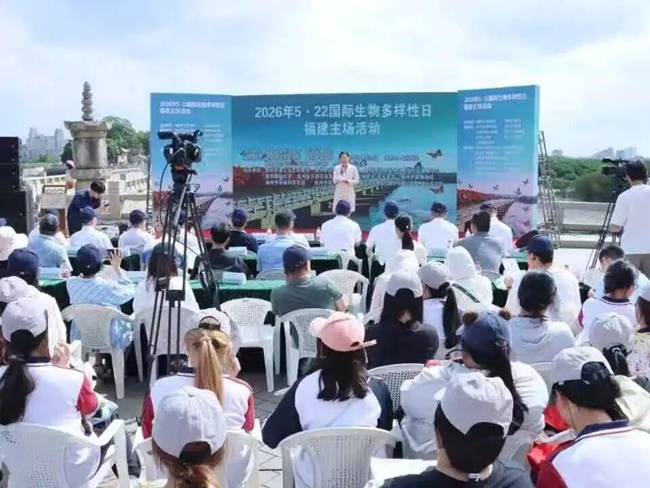 活动现场