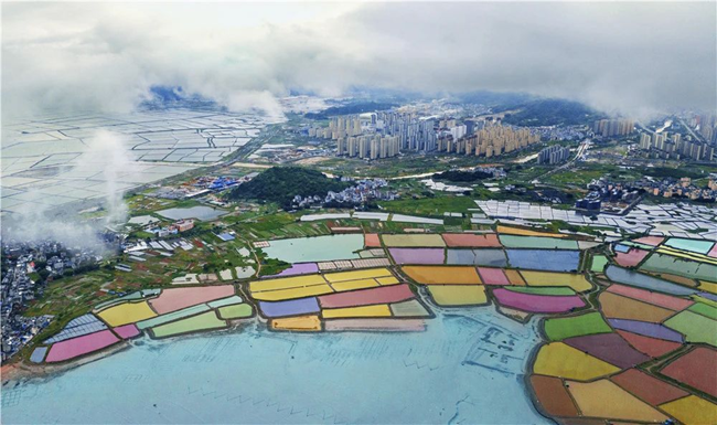 五彩灘涂。楊海芬攝