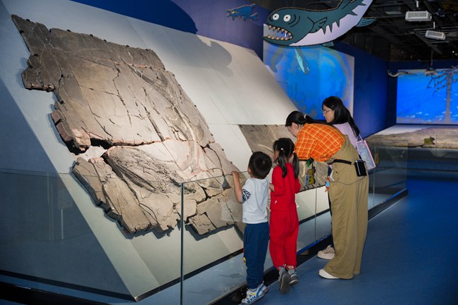 2026年4月《嗨！海怪》全新特展 匯集超百件珍稀化石、復原模。