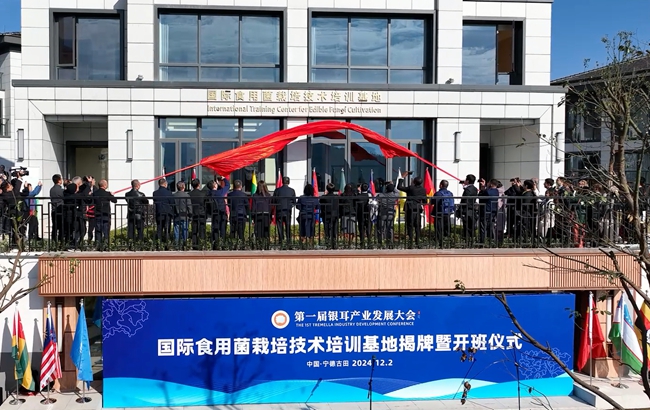 2024年12月，国际食用菌栽培技术培训基地揭牌暨开班仪式在古田县举行