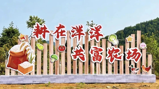 古田县泮洋乡共富农场