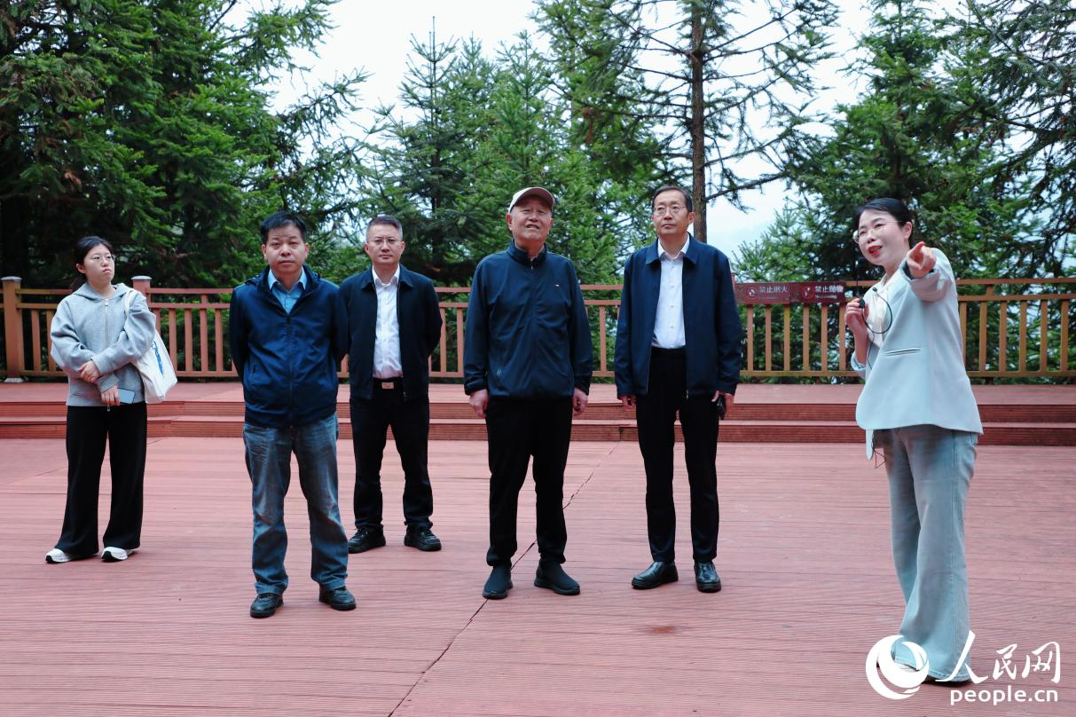 人民網黨建調研行走進周寧縣后洋村。人民網記者 李唯一攝