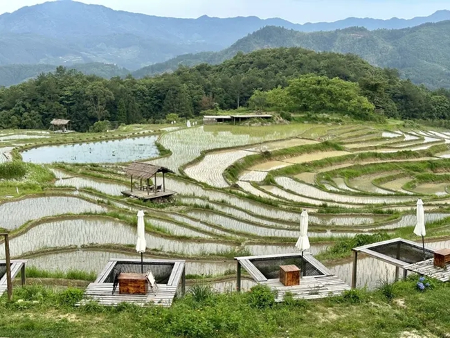 食光梯田。陈健摄