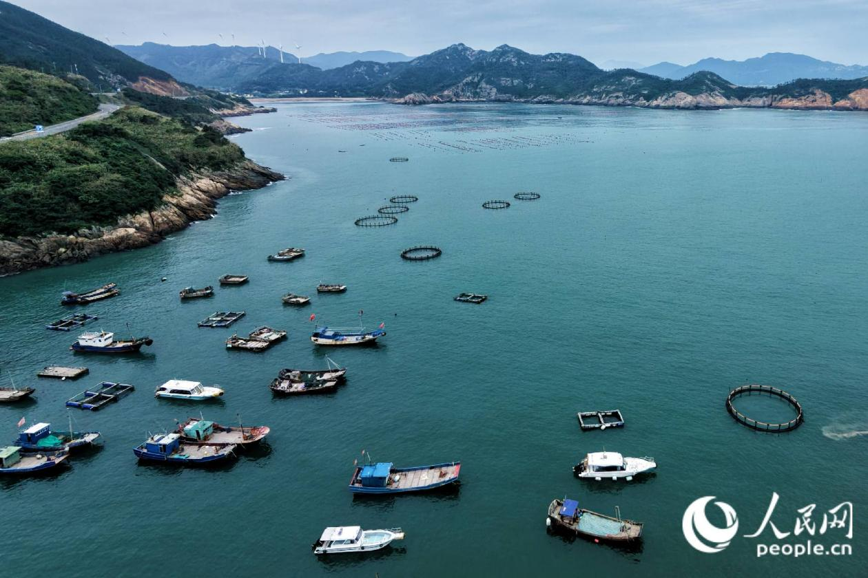 作业渔船与养殖网箱错落碧波之上，成为霞浦特色景观。人民网 林铭贤摄