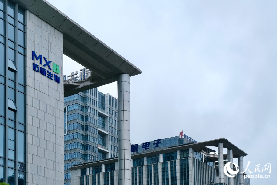 高新区产业园内，迈新生物与海峡金投集团仅隔了一栋楼。人民网 欧阳奕奕摄