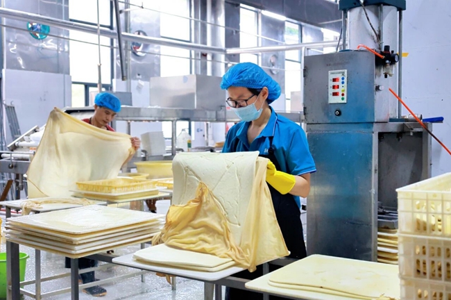 豆制品加工车间