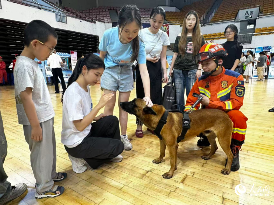 市民与搜救犬进行互动。人民网记者 张萌摄