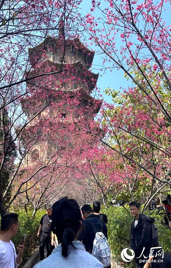 泉州古城吸引了来自全国各地游客前往打卡。人民网记者 陈蓝燕摄