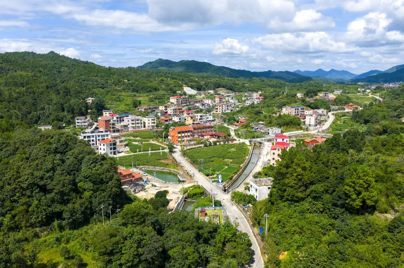 绿意盎然的堤内村。