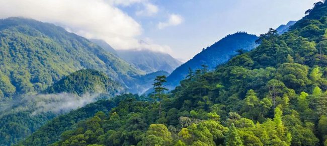 风景秀美武夷山