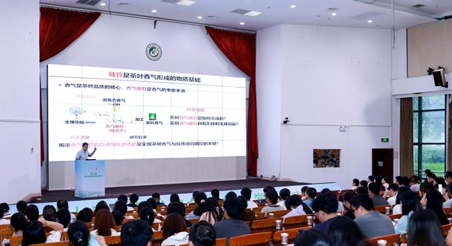 专家讲解。中共安溪县委宣传部供图